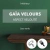 Gaia velours vert, peinture biosourcée verte, color-rare