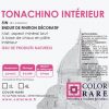 tonachino intérieur, enduit à la chaux,, colorare